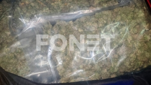 Zaplena droge, oružja i zlata